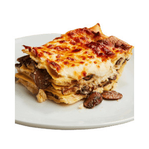 pizza slice in a plate